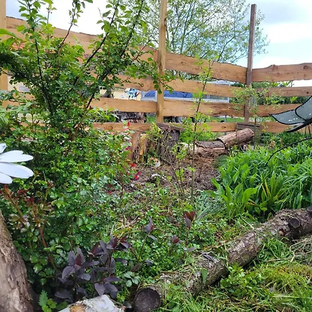 Tiny House La Chevechette Chalet *